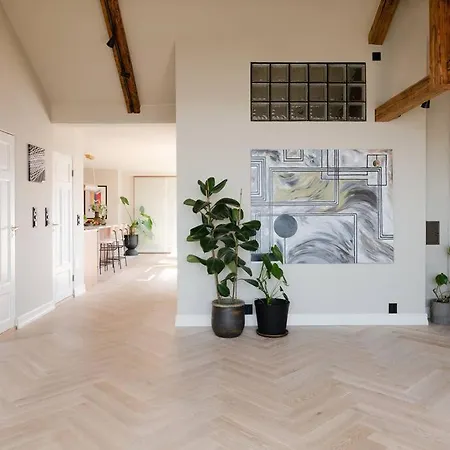 Apartment Rooftop Luxury